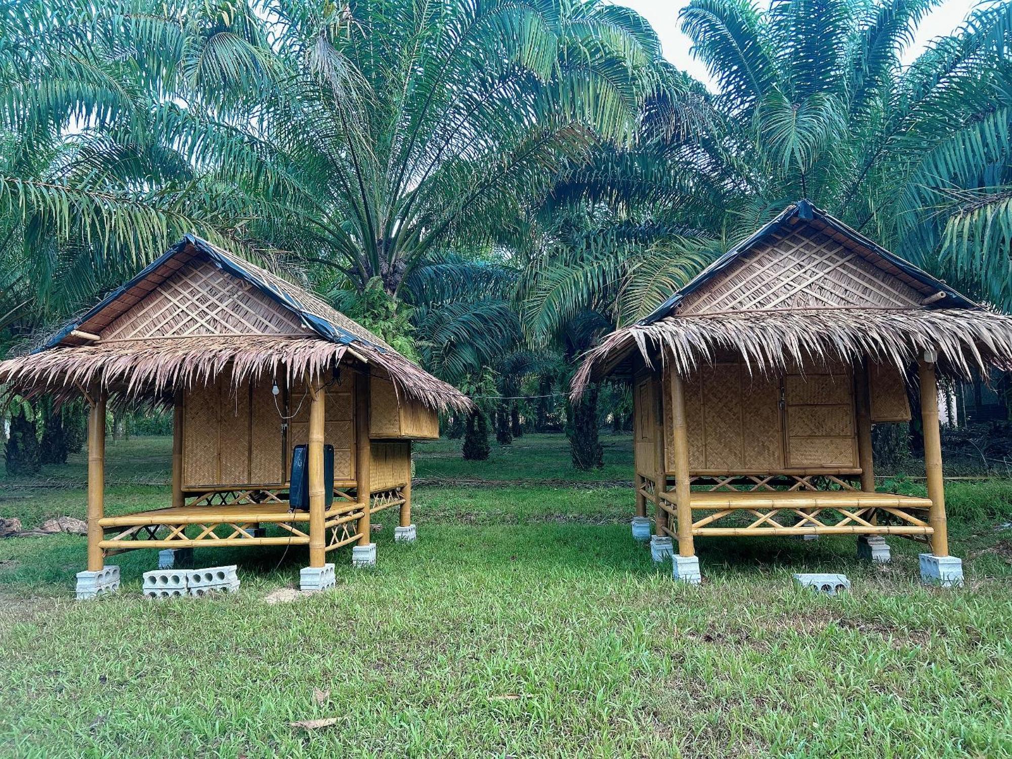 Khaosok August Freedom Camp Hotel Khao Sok National Park Kültér fotó