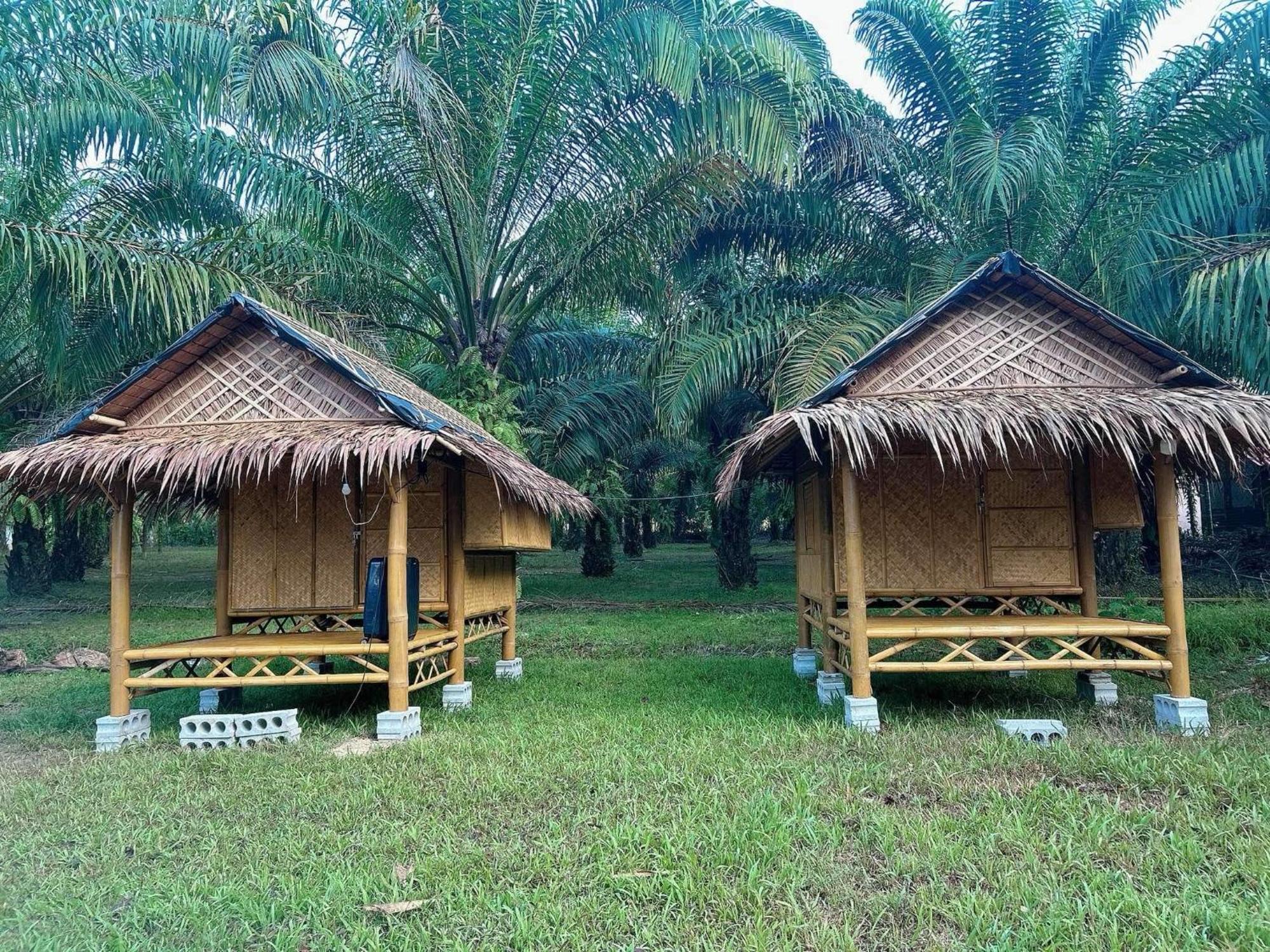 Khaosok August Freedom Camp Hotel Khao Sok National Park Kültér fotó