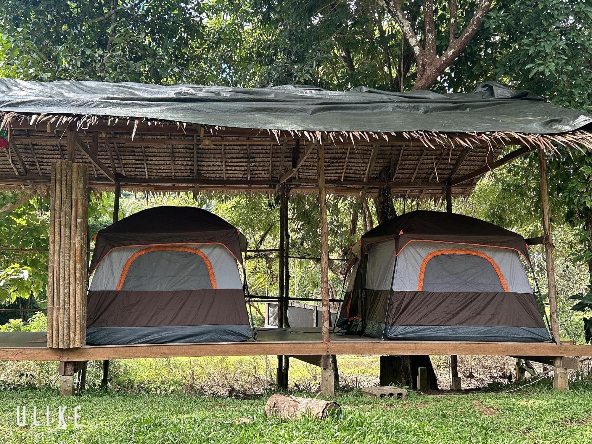 Khaosok August Freedom Camp Hotel Khao Sok National Park Kültér fotó